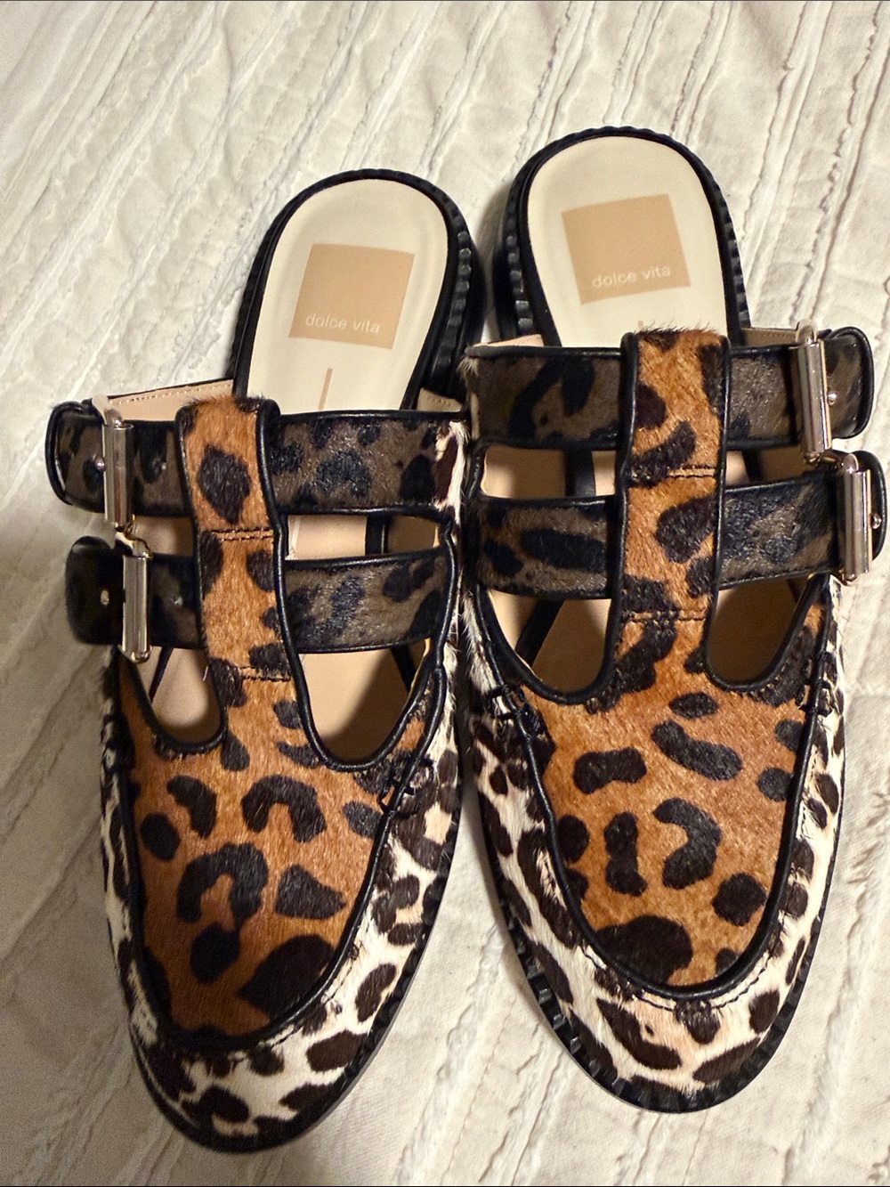 Dolce Vita Leopard-Print Haircalf Buckle Mules - Brown/Black/Cream